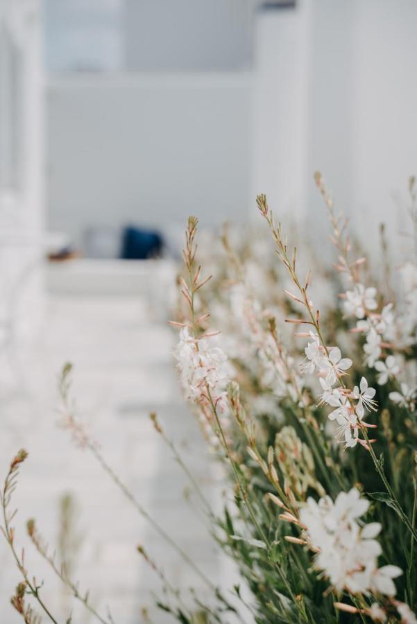 Hotel Aether Boutique Glastros (Mykonos)